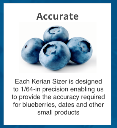 deep blue blueberries above description of a sorting machine accurate to tiny dimensions