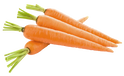 orange carrots with cut green tops arranged in a small pile