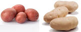 two varieties of potatoes, arranged in a group of three each including Russet potatoes