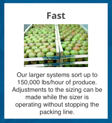 box with text describing a fast packing line and showing green mangoes in crates
